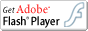 Download Flash Player